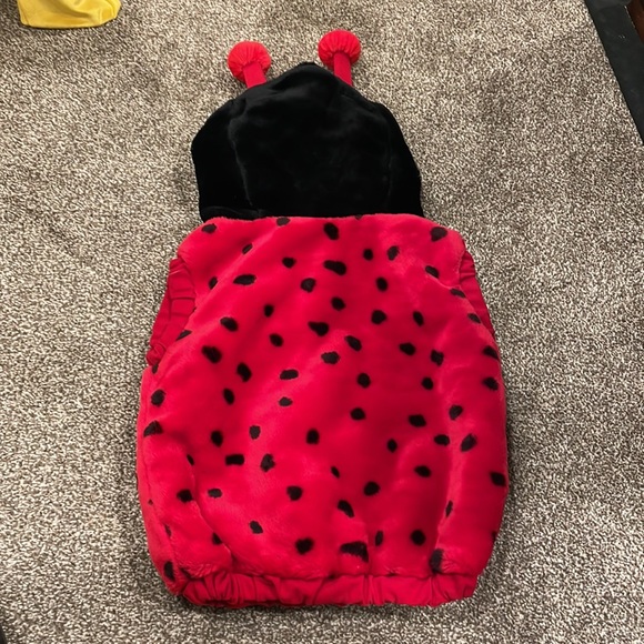 Ladybug Halloween costume size 12-24 months plush - Picture 5 of 5